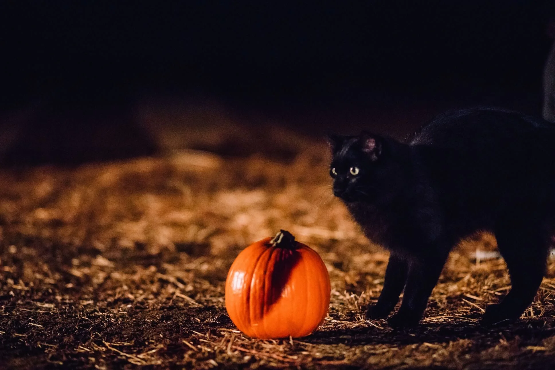 What’s Scaring System Administrators this Halloween Season?