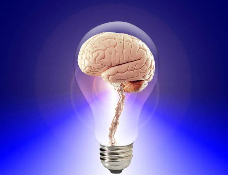 Sell Your Brain Online for Extra Cash