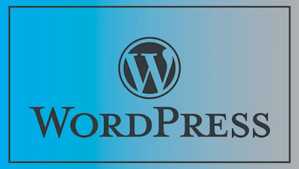 Beginners Guide to Setting Up a WordPress Website