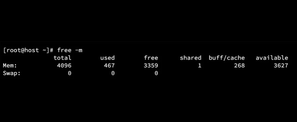 check memory usage free -m