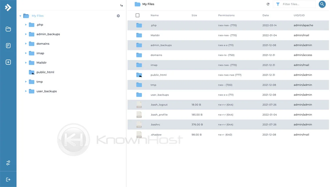 directadmin file manager interface